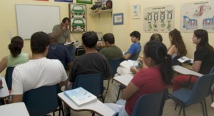 El 43,8% de los alumnos que se presentaron al nuevo examen de conducir lograron aprobar